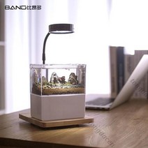 베타키우기 엔젤피쉬 나비파파 블랙고스트 하프문 키우기 오란다금붕어 구피 해수어항세트 해수 4929998849, H 옵션이미지 참조