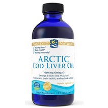Nordic Naturals 노르딕 내추럴스 아틱 코드리버 오일 1060 mg DHA 510EPA 340 무맛 237 ml