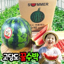 삼시세끼연구소 고당도 하우스 수박 당도선별 꿀수박 국산 4kg 5kg 이상 6kg 7kg 산지직송 안전포장, 고당도 꿀수박 특품