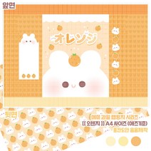 메미 오렌지 양면 랩핑지