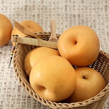 전남생협 아삭한 나주 햇 신고배 3kg (4-6과) 가정용, 1