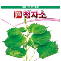 쌈씨앗 청자소(3g), 단품