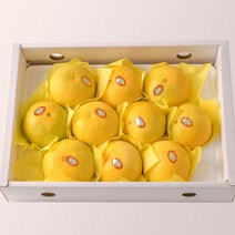 꿀범벅 제주 황금향 3kg(8-15)-선물용 포장