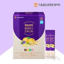 대웅 도라지 배즙 흑 도라지청 생강 진액 스틱 100포 기관지 환절기 건강 청