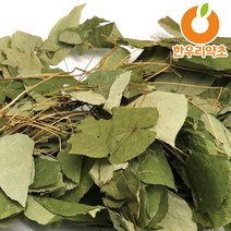 삼지구엽초 음양곽 먹는법 삼지구엽초주, 삼지구엽초100g