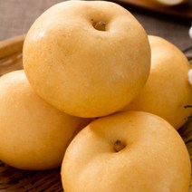 배 나주 햇배 신고 특품 가정용 설 명절 과일 선물 세트, 햇배(신고) 특품 5kg (5-7과)