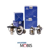 모비스 트라제XG 디젤 썸머스타트 25500-27000 써모스탯, 1개