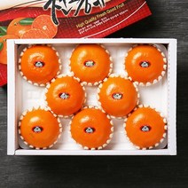 빛과나무 [빛과나무]프리미엄팩 제주천혜향세트 3kg(6-10입), 1
