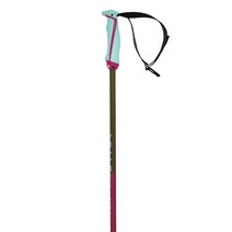 뵐클 스키 폴 2122 Phantastick W Berry