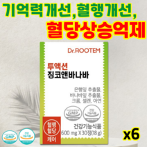 닥터루템 징코앤바나바 투액션 기억력 혈행개선 은행잎 바나바잎 추출물 혈당상승억제, 6개