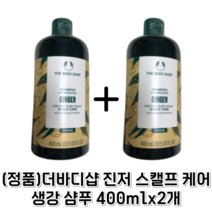 더바디샵 진저샴푸 NEW 스캘프 케어 생강 샴푸 두피샴푸 생강샴푸 두피케어 두피각질케어, 2개, 400ml