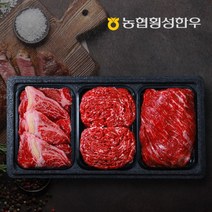 농협횡성한우 [농협횡성한우] 1등급 프리미엄 횡성한우 어10품 선물세트/ 등심+국거리+불고기 총 1.2kg, 단일옵션