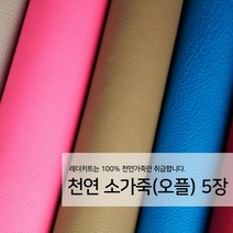 [레더키트]천연 가죽공예 원단 공방재료 리폼DIY원단 천연 오플무늬 가죽 5장, 어두운계열