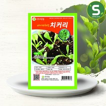 솔림텃밭몰 베이비치커리씨앗 30g 베이비채소 베이비치커리, 단품