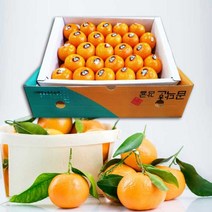 제주 고당도 하우스 감귤 35과내외 3kg 밀감/귤, 단품, 제주 하우스감귤 일반포장(35과내외)3kg