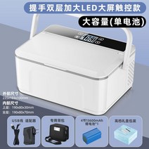 주사보관냉장고 휴대용 인슐린 시약 자동차 충전 가정용 의약품 여행 캠핑용, L사이즈(10시간 지속)
