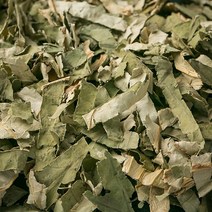 신토불이 국산 약초 하엽(연잎) 600g, 12YI_국산하엽(연잎)600g, 12YI_국산하엽(연잎)600g