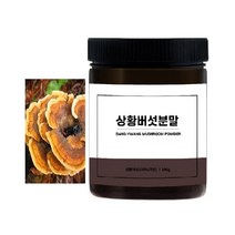 상황버섯 가루 차 먹는방법 100% 국내산 뽕나무 상황버섯 분말 물 효능 100g