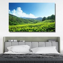 유홍아트 푸른 초원 와이드 풍경 사진 그림 액자 6호(41x27cm) (5729196)