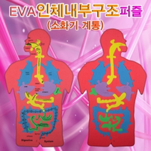 EVA 인체 장기구조 퍼즐, 단일 수량