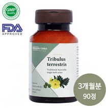 모닝컴스 Tribulus terrestris 트리뷸러스 500mg 3개월분 90정 히말라야 고크슈라 단품