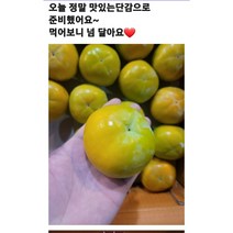 [새벽배송]제철과일 단감 프리미엄 당일경매과일 3kg 5kg 10kg 초신선과일 가락시장 당일배송, 단감3kg