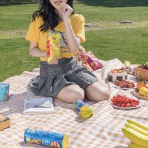 [이거찜] 세련된 디자인의 체크무늬 대형 돗자리/캠핑돗자리/옥스퍼드돗자리/피크닉매트, 돗자리 민트 대형