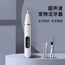 강아지 치석제거기 반려동물 치석제거 초음파 스케일링기기 강아지 고양이 칫솔 구강클리너 구취제거, 단품