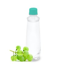 [23-04-26 출고 예정] 무라벨 초정탄산(샤인머스캣) 350ml, 40개입