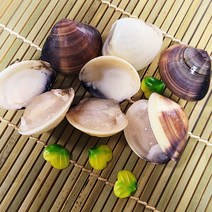 설앤쿡 맛과 향이 뛰어난 조개의 여왕 백합조개 1kg*3팩(3kg) 묶음, 백합조개*3팩(3kg)