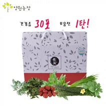건강즙 1탄 [30포/1박스]개똥쑥즙 외, 쇠비름즙 (28355119)