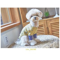 푸들 포메 비숑 강아지 외출 예쁜 도트 옷 코카스파니엘옷 개옷, L