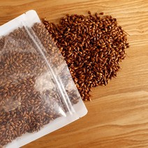 건강의정석 아기 블랙 보리차 자색 옥수수차 무농약 유기농 갓볶은 곡물차 500g, 갓볶은 보리차(무농약) 500g