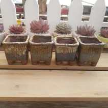 모아보는 다육화분 세트 모음, 5번-작은사각 화분 4개세트