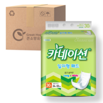 카네이션 속기저귀 일자형 240매 성인기저귀, 1box, 24X53cm, 240개입