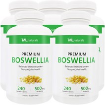 [미국번개배송] 착한명품 마이라이프 내추럴스 보스웰리아 500mg 240정 5병, 5개
