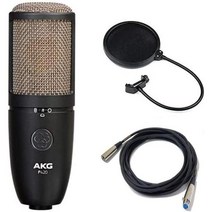 AKG P420 프로젝트 스튜디오 +팝 필터 Sensor 20 XLR 케이블, 기본