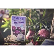 무안 자색양파즙 저온착즙 빨간 100ml 60포, 상품선택, 무안 자색양파즙 100ml 60포