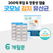프로바이오틱스 유산균 50대 부모님 엄마 아빠 200억 투입 매일 1캡슐 장 까지 살아가는 장용성 캡슐 2중 코팅 김치 유래 유산균 유산간균 비피더스균, 6개월, 500mg x 60정 (하루1캡슐)