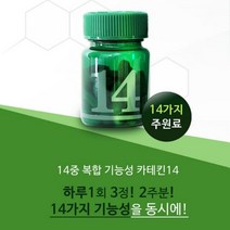다이어트 카테킨14 700mgx42캡슐, 1개, 42정