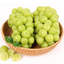 수출용 프리미엄 망고포도 샤인머스켓, 2kg 4수(수출용 특품), 1개