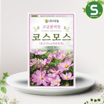 솔림텃밭몰 연분홍색 코스모스씨앗 100립 코스모스 꽃씨앗, 단품
