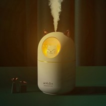 화재방지 초등학생 공부방 미니 가습기 세척편한 가정용 관리쉬운 USB 국민, 흰색