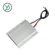전기 가스 등유 히터 온수 부품 AC DC 12V 150W 계란 인큐베이터 히터 일정한 온도 세라믹 알루미늄 PTC 셸