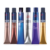 웰라 콜레스톤 퍼펙트 염색약 산화제 포함 80g -, BEIGE 베이지, 퍼펙프 믹스