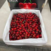 [100%생과] 체리 생체리 고당도 500g 1kg 2kg 체리과일 칠레산 미국산 생과 채리, 200g