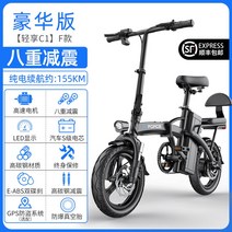 독일 지포스 접이식 전기자전거 초경량 대리운전 배터리, 48V, 0Ah, 디럭스/30A 퓨전 약 155km/인버터