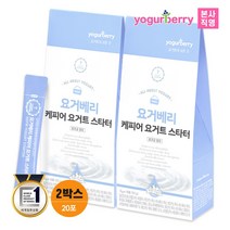 요거베리 케피어 스타터 티벳버섯 효모 유산균 20포, 단품