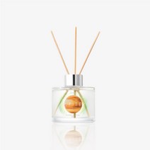 오르브 행성 무드 실내방향제 디퓨저 200ml, 코지그린어스