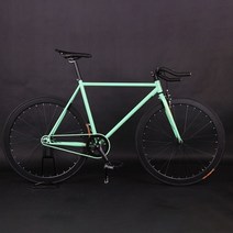 픽시 로드마스터 자전거 크롬 브 로드 자이언트 미니벨로, green_56cm ( 180cm)